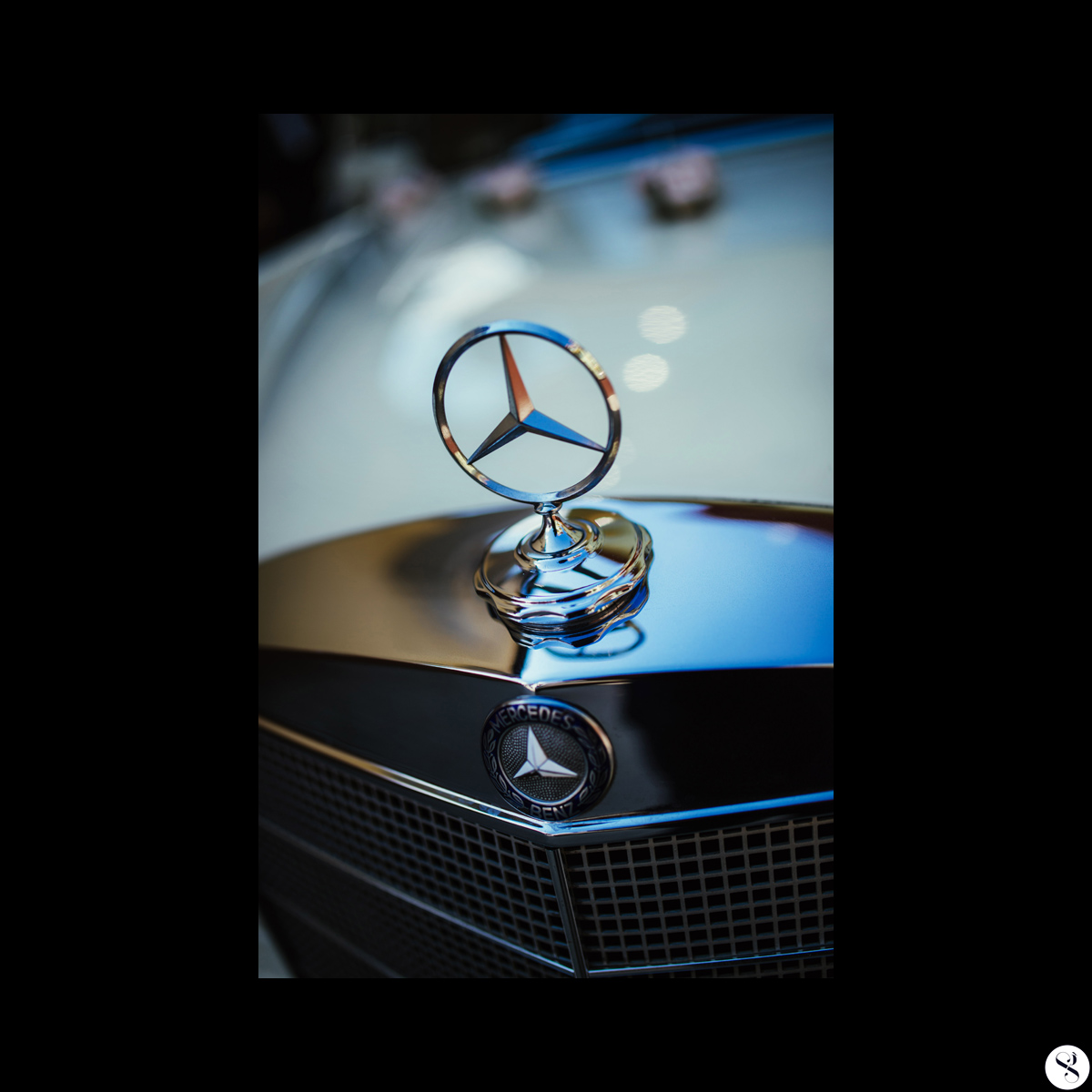 sg_dag-krzy_053-copy